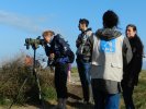Observation des oiseaux marins avec la LPO de Pleumeur-Bodou
