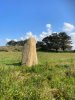 Menhir de Landrellec