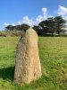 Le menhir situé dans une pâture à Landrellec
