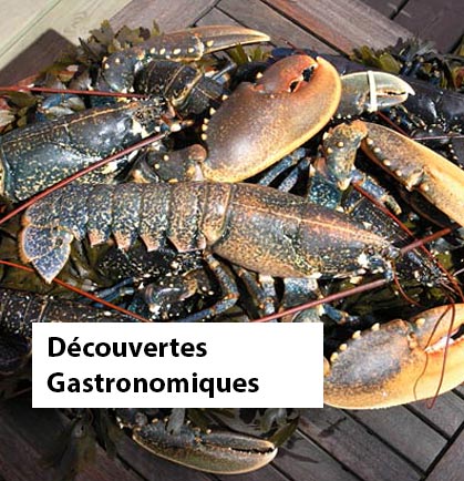 gastronomie